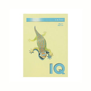 ɓ oCIgbvJ[ A4i500j BT527  1