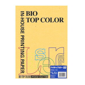 ɓ oCIgbvJ[ A4 i50j BT402 1PD