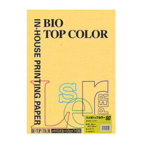 ɓ oCIgbvJ[ A3i100j BT202 1PD