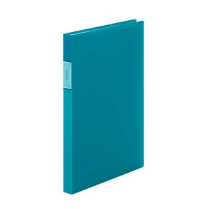 �L���O�W�� FV �N���A�[�t�A�C���i�����j40P�� FV166TW 1��