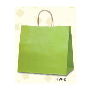��񂰑� �V���b�s���O�o�b�O �O���[��R HW-2 342071 320×200×300mm 200��
