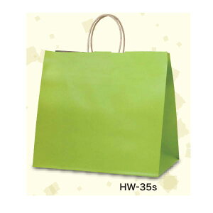 񂰑 VbsOobO O[R HW-35s 343471 350×220×320mm 200