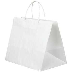  񂰑 377100 tbg L-23 230×140×190mm 100ܒi{[(10PP×10j