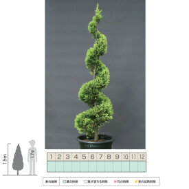 楽天市場 トピアリー 植木 ガーデニング 農業 花 ガーデン Diyの通販