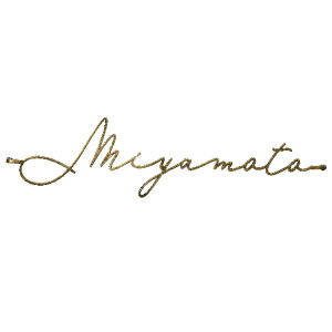 I[Nu EbfB[2 IvV l[v[gtype1 NA1-WROPN1