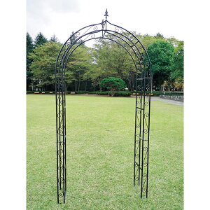 I[Nu Q[gA[`V[Y { JB3-35359