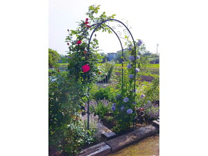 I[Nu K[fA[`V[Y R-N^ JB3-35601