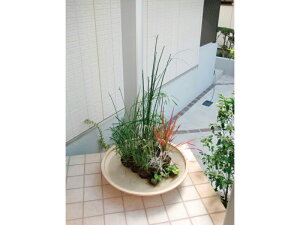 I[Nu ^ i`}bg L MZ3-LB60N