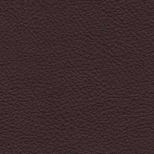 �T���Q�c �֎q���n L-Texture �J���[���U�[ UP5046 �L����122cm 10cm��