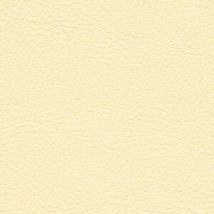 TQc ֎qn L-Texture J[U[ UP5071 L122cm 10cm