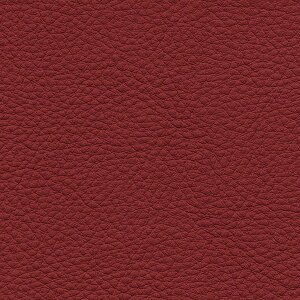 TQc ֎qn L-Texture J[U[ UP5094 L122cm 10cm