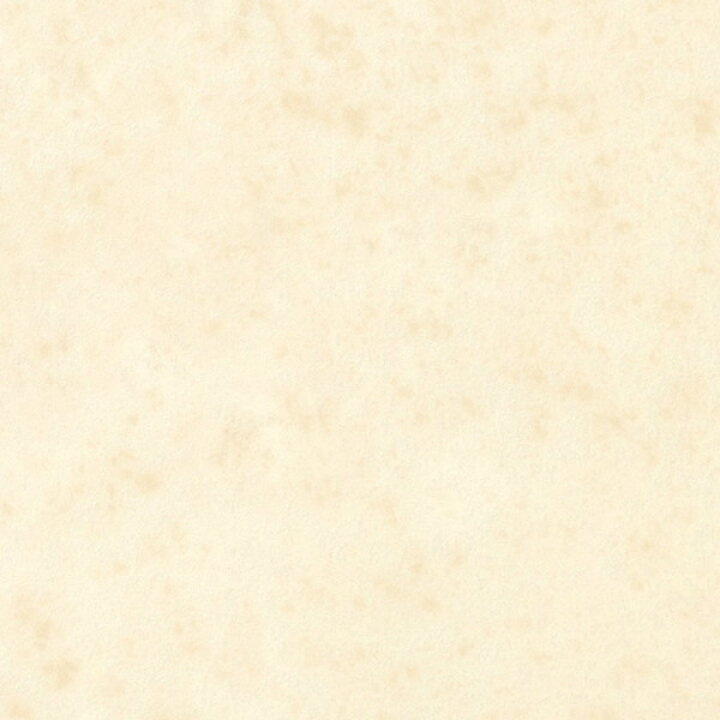 楽天市場】サンゲツ 住宅用クッションフロア STONE タソス（目地なし 