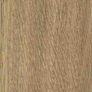 TQc AebN }bgEbh I[N  RW-5392 122cm 10cm