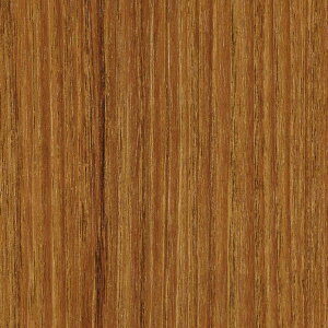 TQc AebN Ebh `[N  TC-4254 122cm 10cm