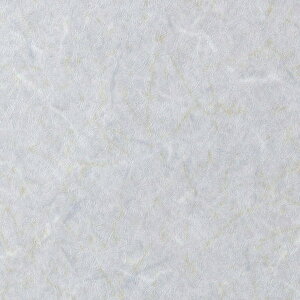 TQc AebN  t@Co[ TC-4571 122cm 10cm