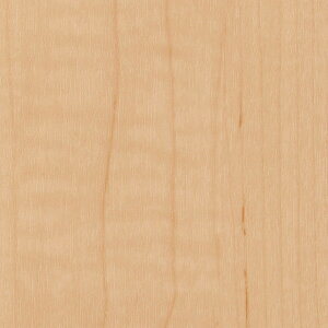 �T���Q�c ���A�e�b�N �E�b�h ���C�v�� �� TC-5108 122cm�� 10cm��
