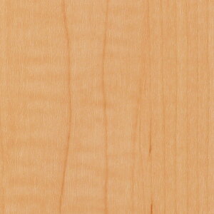 �T���Q�c ���A�e�b�N �E�b�h ���C�v�� �� TC-5109 122cm�� 10cm��