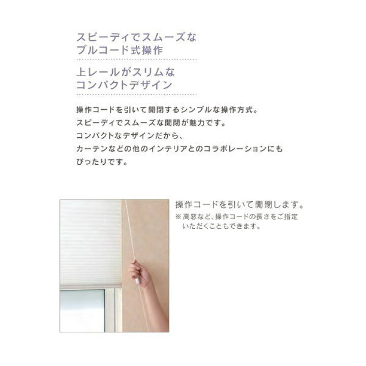 楽天市場】セイキ ハニカム サーモスクリーン ライト スタンダード 