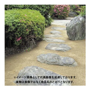 l ^yܑ }Th~bNX U^Cv MDM-1T 1ttRy4܂tz