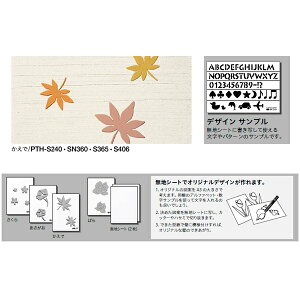 l hǗp p^[^ EOp PT-PLS