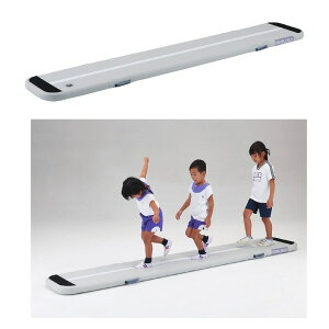 _m GA[oX8 60×300×8cm D-7195