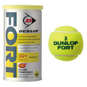 テニス ボール 2個の人気商品 通販 価格比較 価格 Com