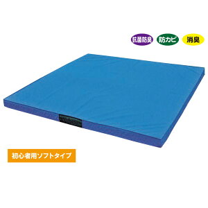 KLASS �R�ۏ_���p�������݃}�b�g 200×300cm ����10cm TB21001