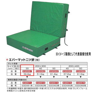 �G�o�j���[ �G�o�[�}�b�g��c�� �h�����z�d�l EGD061 200×300cm 30cm��