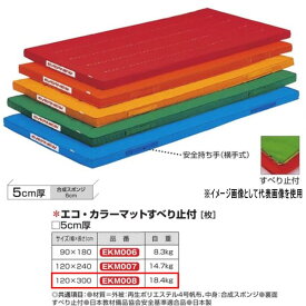 エバニュー エコ・カラーマットすべり止付 EKM008 幅 120×長300cm 厚5cm