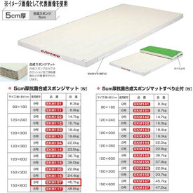 エバニュー 5cm厚 抗菌合成 スポンジマット EKM107 幅150×長600cm 9号帆布