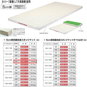 �G�o�j���[ 5cm�� �R�ۍ��� �X�|���W�}�b�g EKM113 ��120×��300cm 6�����z