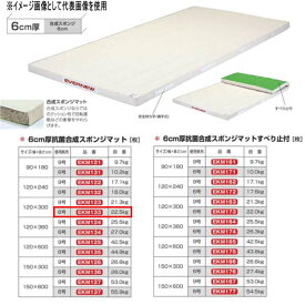 エバニュー 6cm厚 抗菌合成 スポンジマット EKM133 幅120×長300cm 6号帆布