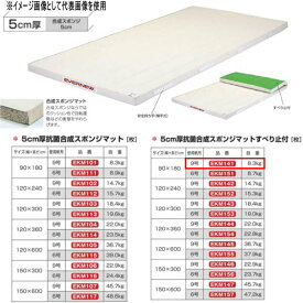 エバニュー 5cm厚 抗菌合成 スポンジマットすべり止付 EKM141 幅90×長180cm 9号帆布