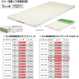 エバニュー 5cm厚 抗菌合成 スポンジマットすべり止付 EKM144 幅120×長360cm 9号帆布