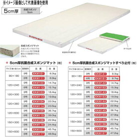 エバニュー 5cm厚 抗菌合成 スポンジマットすべり止付 EKM151 幅90×長180cm 6号帆布