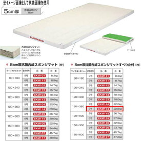 エバニュー 5cm厚 抗菌合成 スポンジマットすべり止付 EKM154 幅120×長360cm 6号帆布