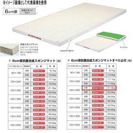 エバニュー 6cm厚 抗菌合成 スポンジマットすべり止付 EKM163 幅120×長300cm 9号帆布