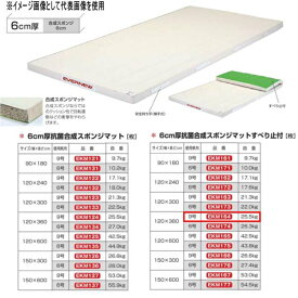 エバニュー 6cm厚 抗菌合成 スポンジマットすべり止付 EKM164 幅120×長360cm 9号帆布