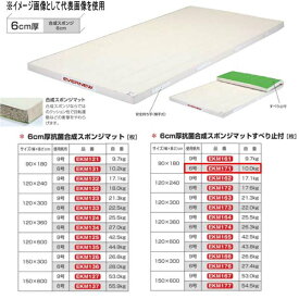 エバニュー 6cm厚 抗菌合成 スポンジマットすべり止付 EKM171 幅90×長180cm 6号帆布