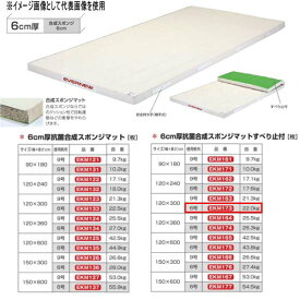 エバニュー 6cm厚 抗菌合成 スポンジマットすべり止付 EKM173 幅120×長300cm 6号帆布