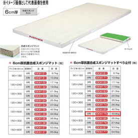 エバニュー 6cm厚 抗菌合成 スポンジマットすべり止付 EKM175 幅120×長600cm 6号帆布