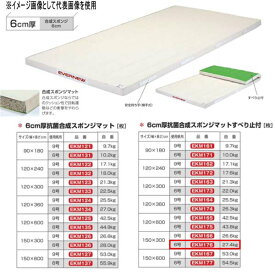 エバニュー 6cm厚 抗菌合成 スポンジマットすべり止付 EKM176 幅150×長300cm 6号帆布