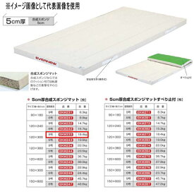 エバニュー 5cm厚合成スポンジマット EKM233 幅120×長300cm 9号帆布