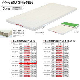 エバニュー 5cm厚合成スポンジマット EKM244 幅120×長360cm 6号帆布