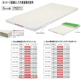 エバニュー 5cm厚合成スポンジマット EKM247 幅150×長600cm 6号帆布