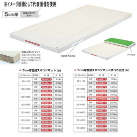 エバニュー 5cm厚合成スポンジマットすべり止付 EKM283 幅120×長300cm 6号帆布