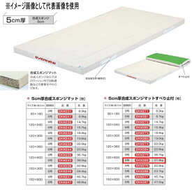 エバニュー 5cm厚合成スポンジマットすべり止付 EKM285 幅120×長600cm 6号帆布