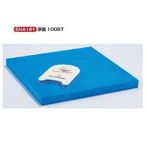 Goj[ r[gE 100ST 100×100×7.5cm EHA181 1
