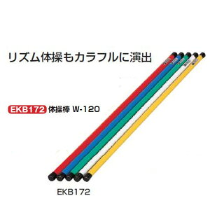 Goj[ ̑_ W-120 a3×120cm //// EKB172 1{