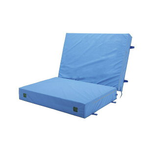 Jl h RۖhL J[Go[}bg 2 150cmx200cmx20cm K-5276